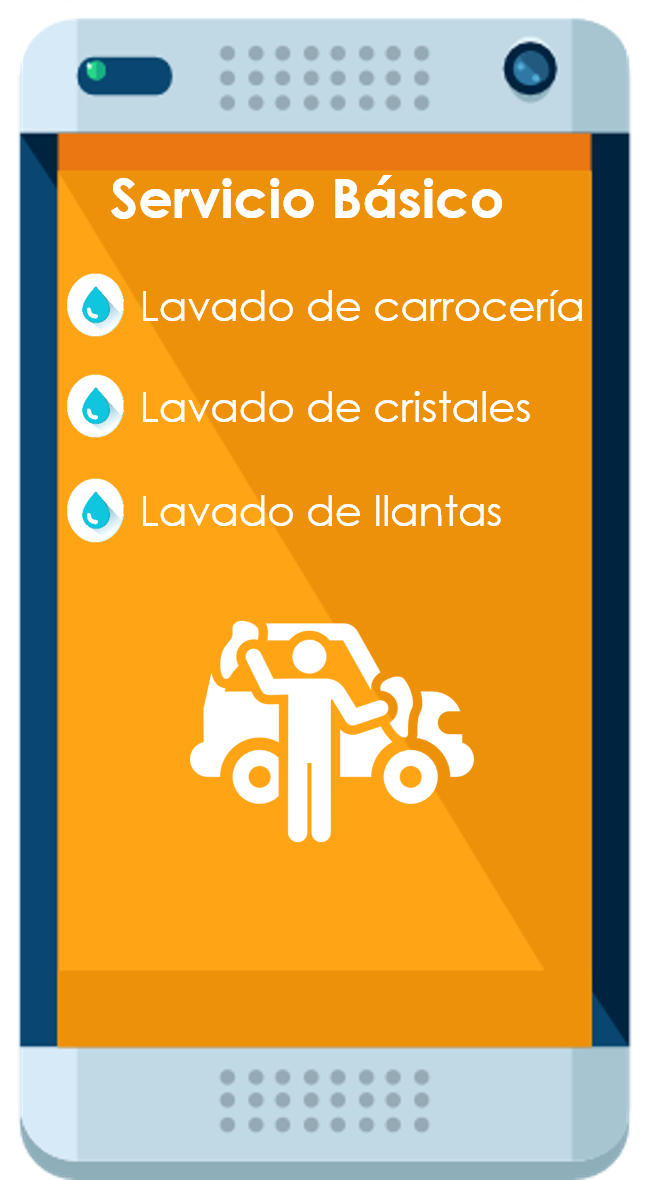 Servicio de lavado basico Bawii